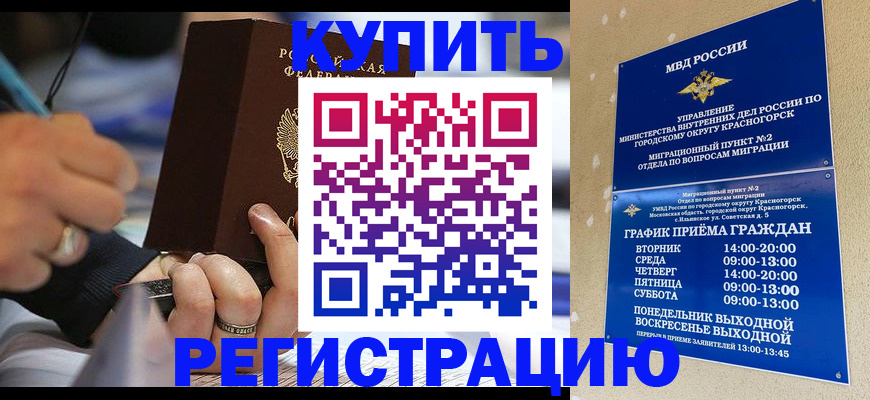 регистрация для школы в Ленинградской области